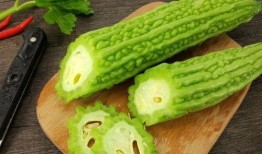 体育圈的瓜是什么意思 吃瓜网官网免费观看,揭秘“吃瓜”现象，官网免费观看带你一探究竟