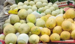 今日吃瓜.吃瓜网官网,揭秘吃瓜网官网最新热点事件